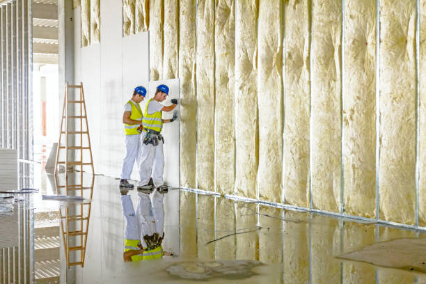 Types of Insulation We Offer in Antioch, CA